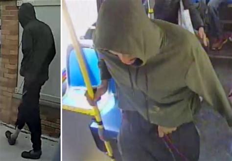 grope on bus|Cops seek tips after man allegedly bit, groped girl on bus on ...